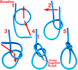 bowline