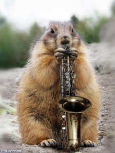 Groundhog-Playing-a-Saxophone--91969